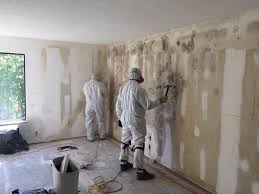 Best Mold Removal for HVAC Installations in USA